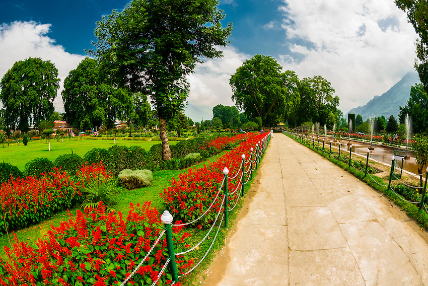 Kashmir Glimpses