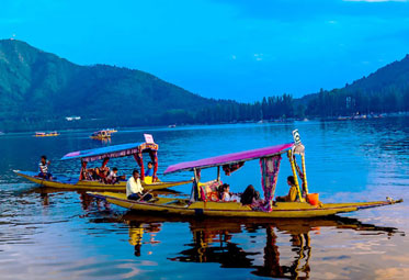 Dream Kashmir